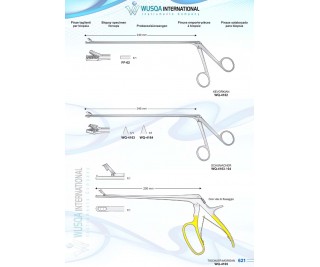 Biopsy Specimen Forceps 